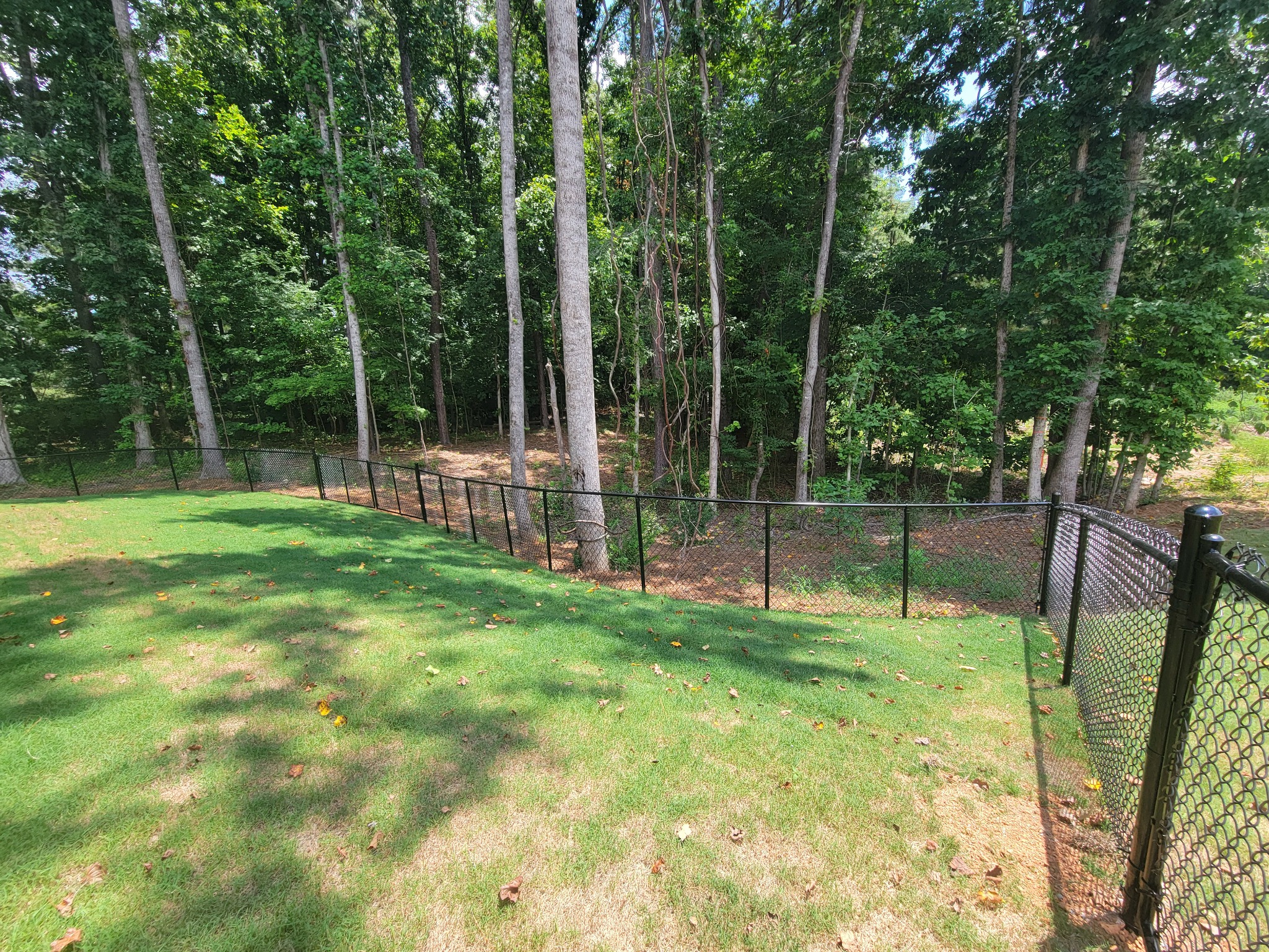 Black ornamental fence in the Centre / Leesburg, Alabama area installed by Hooks Fence Company