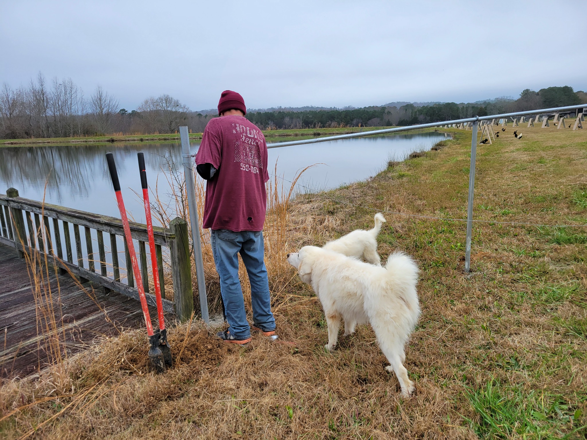 Dog-friendly chain-link fence installation in Langston, Alabama by Hooks Fence Company